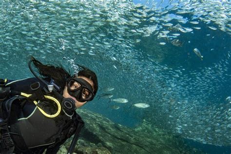 Hermosa chica latina mexicana buceando en el mar de Cortés Foto Premium