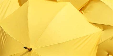 The Color Yellow — History, Meaning and Facts | HunterLab