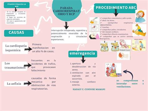 Mapa Mental Rcp Ologia Porn Sex Picture