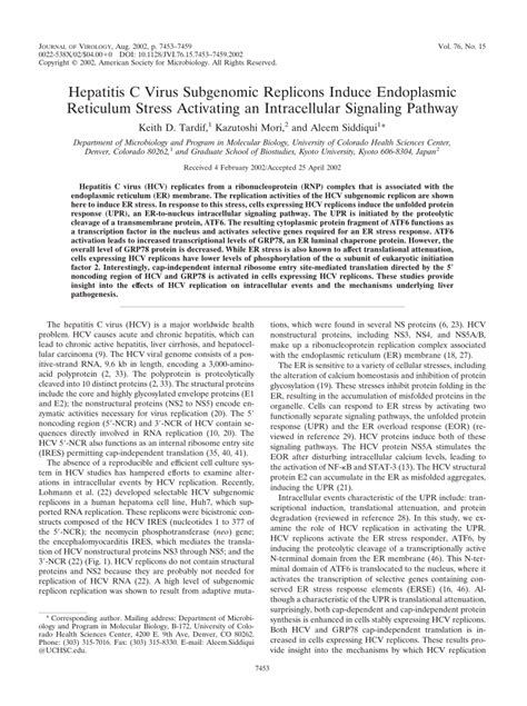 PDF Hepatitis C Virus Subgenomic Replicons Induce Endoplasmic