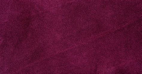 Does Velvet Attract Dog Hair? Velvet’s Magnetism 鱗 Dog Owners' Guide