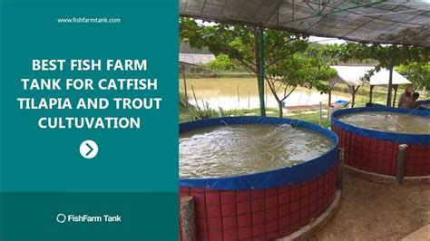 Sale Fish Farm Tank For Catfish Tilapia And Trout Cultivation Youtube