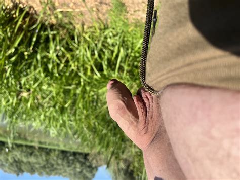 Out Fishing So Got Some Dick Pictures Various Ones Nude Pics XHamster