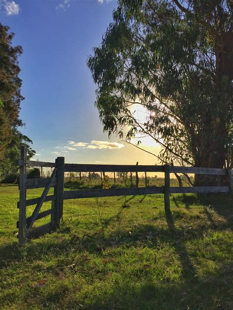 The Sun Is Setting Behind A Fence In A Grassy Field With Trees On