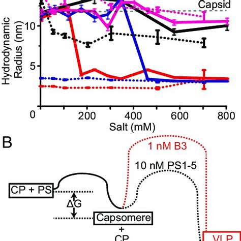 The roles of electrostatic interactions in assembly of capsomere and... | Download Scientific ...