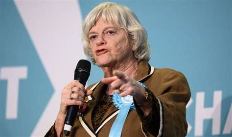 Ann Widdecombe Offered Role In Brexit Talks In Return For Quitting