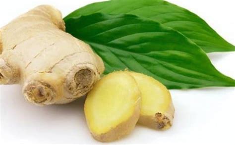 Best Foods For Your Digestive System