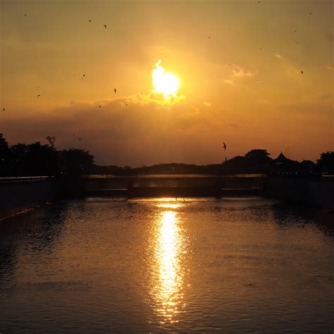 Golden Sunset