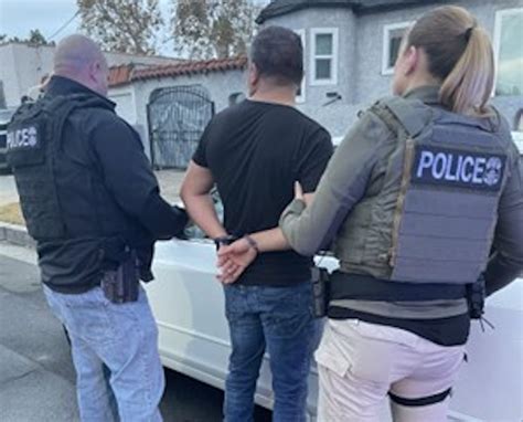 Ice Arrests Illegal Immigrant Sex Convicts In Nationwide Operation Ntd