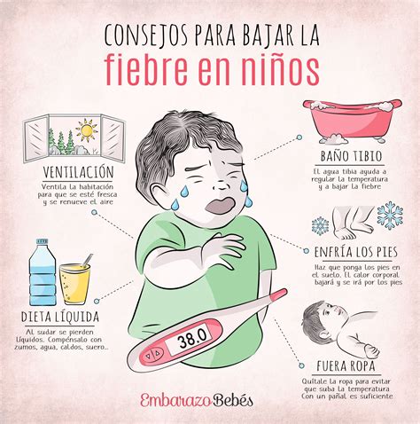 Fiebre En Ni Os Y Beb S Cuidados De Bebes Educaci N Del Beb