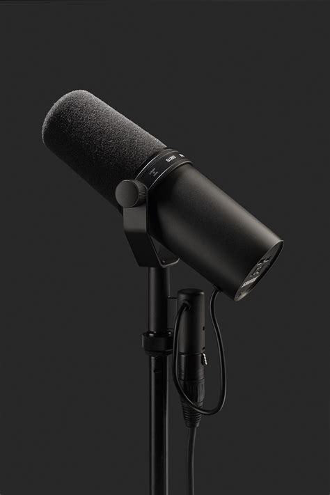 Echoschall-Verleih für Studiotechnik: Shure SM7B