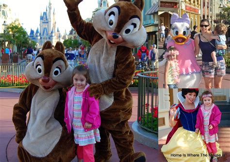 The Best Character Meet And Greets At Walt Disney World Adventures