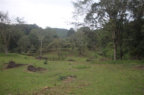 Field Pasture Free Photo On Pixabay