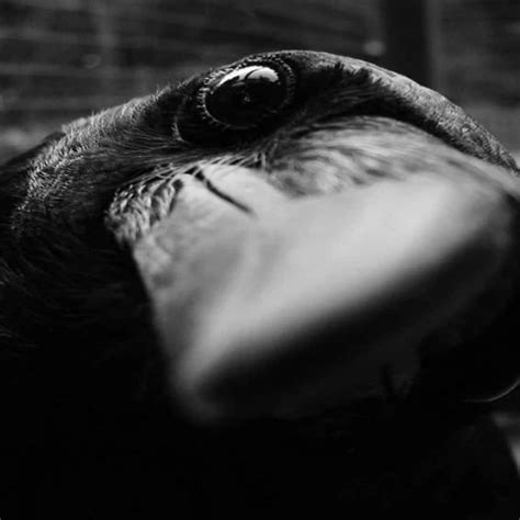 Nice Cook Gay Amateur Amateur Porn Feat Will Bruce XHamster