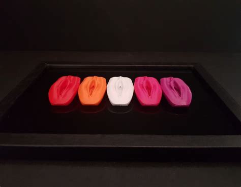 Lesbian Pride Flag Vagina Art Sculpture Gay Pussy Gifts Etsy