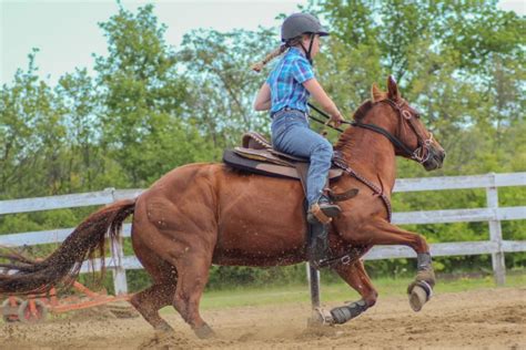 Age is Just a Number: The Inspiring Nebraskawut Family's Success Story - ycw2hcf