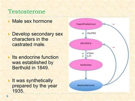 Sex Hormones Pharmacology Pptx Pregnancy Reproductive Health