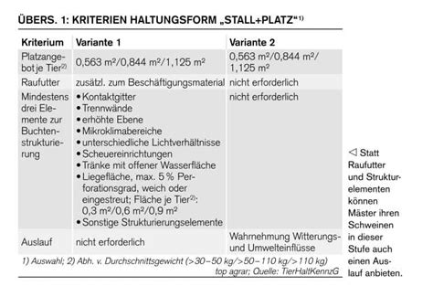 Haltungskennzeichnung Diese Kriterien müssen Schweinehalter erfüllen