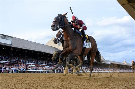 2024 Haskell Stakes Cheat Sheet: Get to Know the Horses | America's