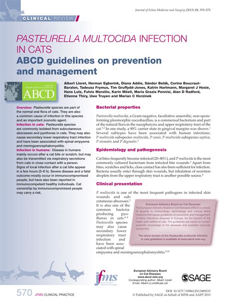 Pdf Pasteurella Multocida Infection In Cats Abcd Guidelines On