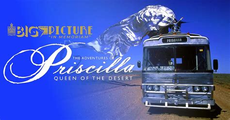 big picture  adventures  priscilla queen   desert