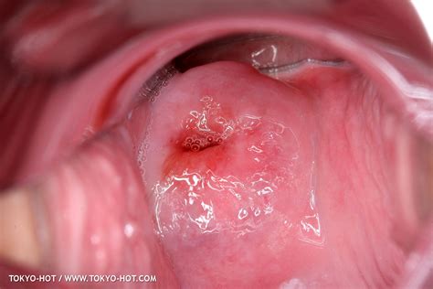 Tokyo Hot N Set E Seira Matsuoka Porn Pic