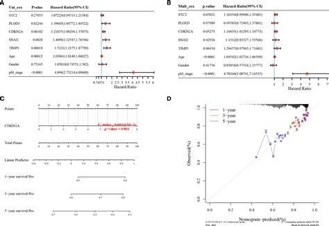 Frontiers The Cell Cycle Associated Protein Cdkn A May Promotes