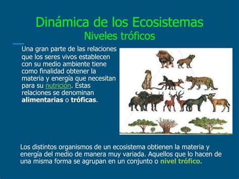 Presentacion Ecosistemas Pptx