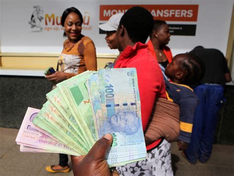 Zimbabwe Banks Could Soon Accept Cows and Sheep as Security for Loans