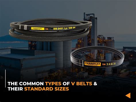 ultimate guide  understanding  belts types   benefits
