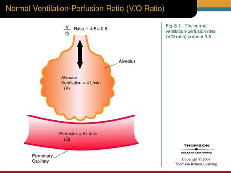 Ppt Chapter 8 Powerpoint Presentation Free Download Id 6391810