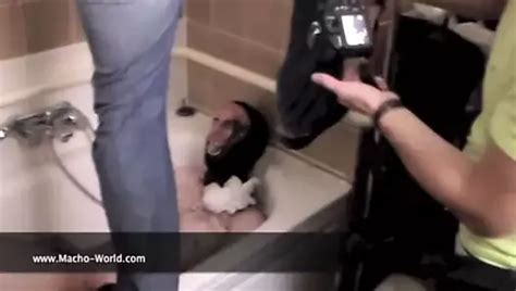 Ostereier Kloppen Free Gay Big Cock HD Porn Video F XHamster