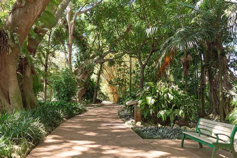 The Best Botanical Gardens In Oahu Hawaii The Golden Hour Adventurer