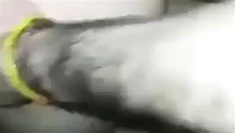 Russian Gay Porn Big Big Gay Hd Porn Video Xhamster Xhamster