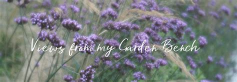 Views From My Garden Bench The Great Outdoors Wellbeing And Life In
