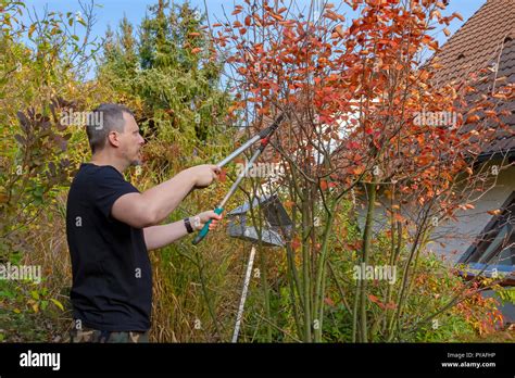 garden work  res stock photography  images alamy