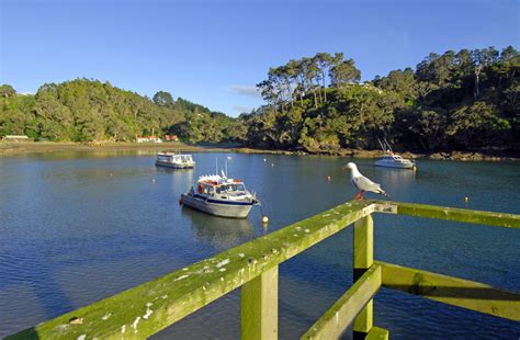 Escape To Leigh Nz Leigh Village Home Of Goat Island Marine Reserve