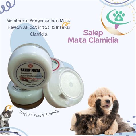 Jual Obat Mata Kucing Clamidia Obat Salep Mata Kucing Dan Anjing