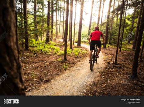 mountain biker riding  bike image photo bigstock