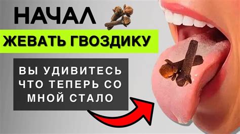 Просто начал жевать ГВОЗДИКУ и Избавился от 10 недугов! | Польза и Вред ...