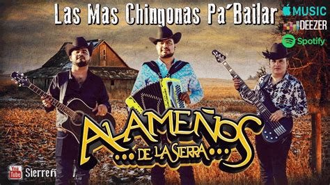 Los Alameños de La Sierra Popurri Cumbias y Huapangos MIX Bailemos