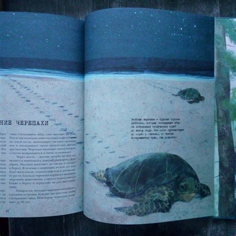 Книга: Миграция. Невероятные путешествия животных - Майк Анвин. Купить ...