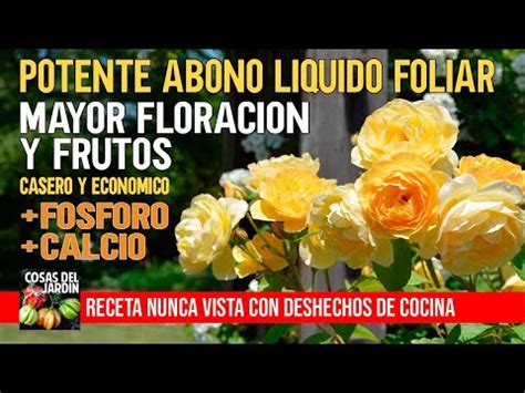 Usos prácticos del fosfato en la jardinería