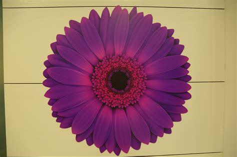 Naturals Salon Srikakulam | Srikakulam