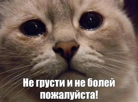 Не грусти - красивые картинки