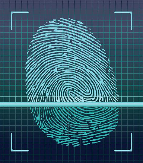 royalty  fingerprint clip art vector images illustrations istock
