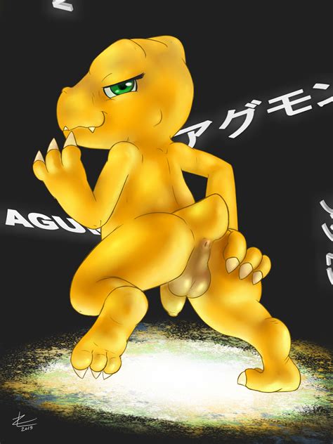 Agumon By Zekromlover Hentai Foundry