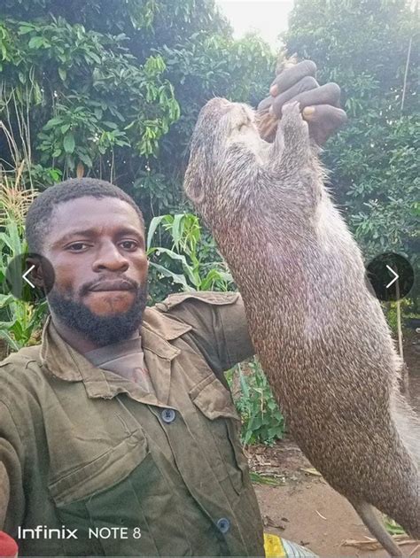 See The Bushmeat My Brother Killed In His Farm Nairaland General