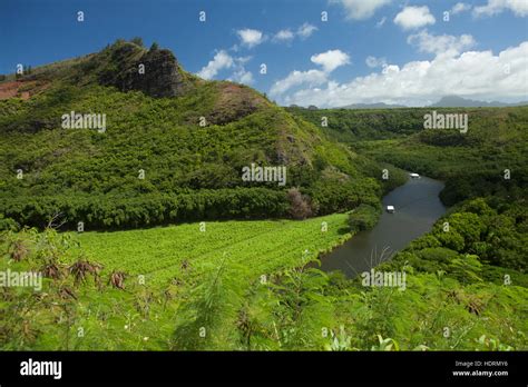 Tour Boats Going To The Fern Grotto Wailua River Wailua Kauai