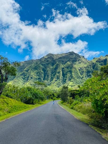 960+ Koolau Range Foto Stok, Potret, & Gambar Bebas Royalti - iStock